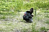 DSC_0198.jpgb.jpg