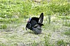 DSC_0199.jpgb.jpg