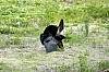 DSC_0200.jpgb.jpg