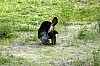 DSC_0201.jpgb.jpg