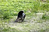 DSC_0202.jpgb.jpg
