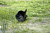 DSC_0203.jpgb.jpg