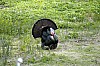 DSC_0204.jpgb.jpg