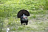 DSC_0205.jpgb.jpg