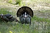 DSC_0207.jpgb.jpg