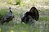 DSC_0208.jpgb.jpg