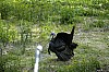 DSC_0209.jpgb.jpg
