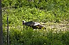 DSC_0210.jpgb.jpg