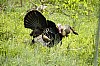 DSC_0218.jpgb.jpg