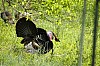 DSC_0220.jpgb.jpg