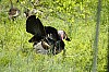 DSC_0221.jpgb.jpg