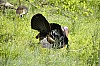 DSC_0222.jpgb.jpg