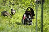 DSC_0223.jpgb.jpg