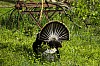 DSC_0224.jpgb.jpg