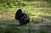 DSC_0225.jpgb.jpg