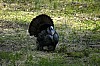 DSC_0226.jpgb.jpg
