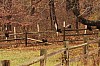 Fall0013.jpg