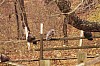 Fall0014.jpg