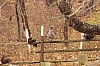 Fall0016.jpg
