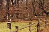 Fall0017.jpg