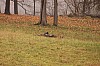 Fall0019.jpg