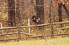 Fall0020.jpg