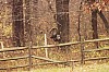 Fall0022.jpg