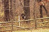 Fall0023.jpg