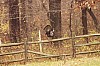 Fall0024.jpg