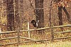 Fall0025.jpg