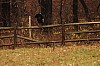 Fall0027.jpg