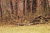 Fall0028.jpg
