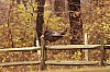 Fall0033.jpg