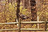 Fall0034.jpg