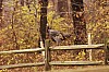 Fall0035.jpg