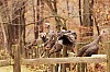 Fall0037.jpg
