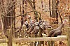 Fall0038.jpg