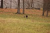 Fall0051.jpg