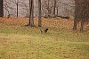 Fall0052.jpg
