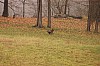Fall0053.jpg