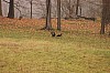 Fall0054.jpg