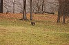 Fall0055.jpg