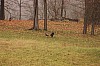 Fall0056.jpg