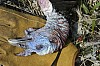aDSC_0012.jpg