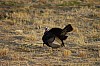 cDSC_0078.jpg